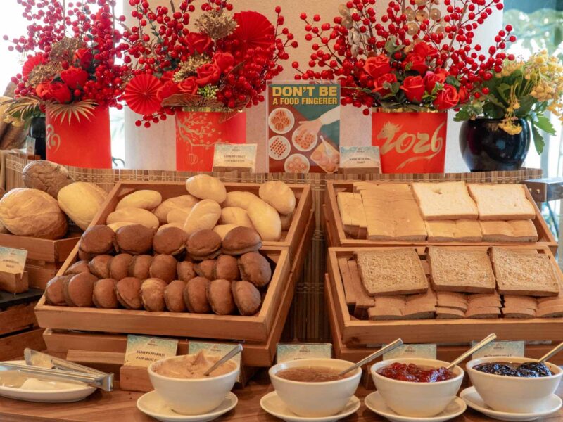 seashells_gallery_04382