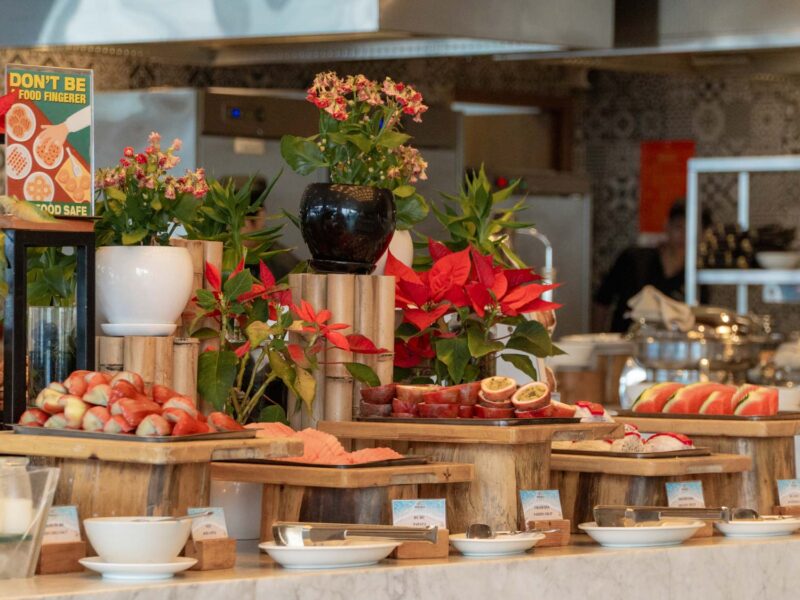 seashells_gallery_04384