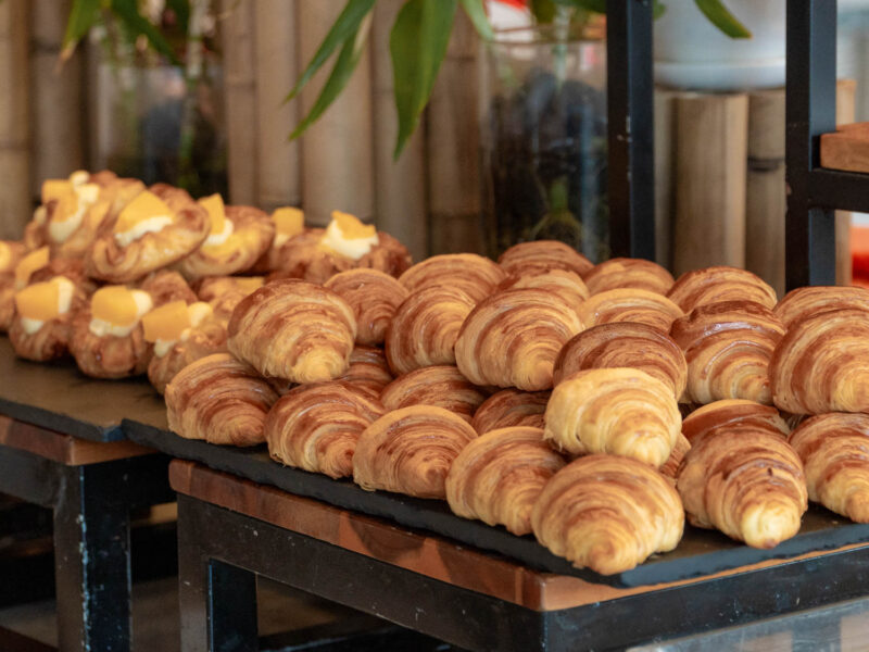 seashells_gallery_04385