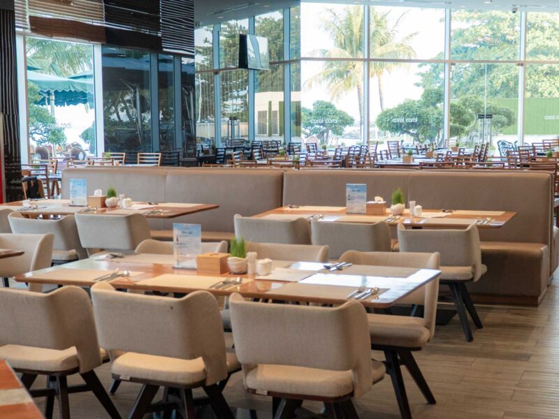 seashells_gallery_04390