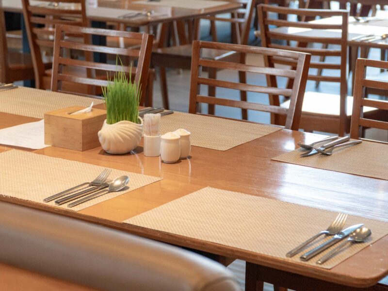 seashells_gallery_04395