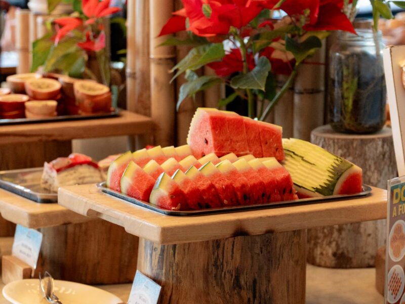 seashells_gallery_04639