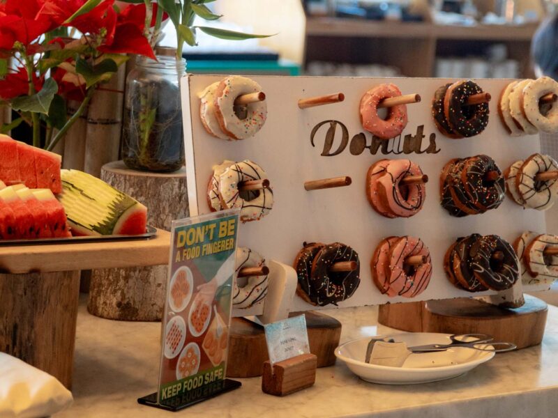 seashells_gallery_04640