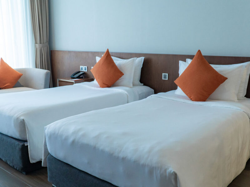 seashells_gallery_04726