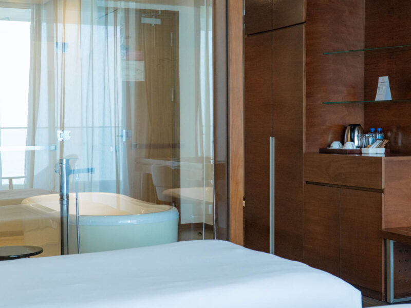 seashells_gallery_04734