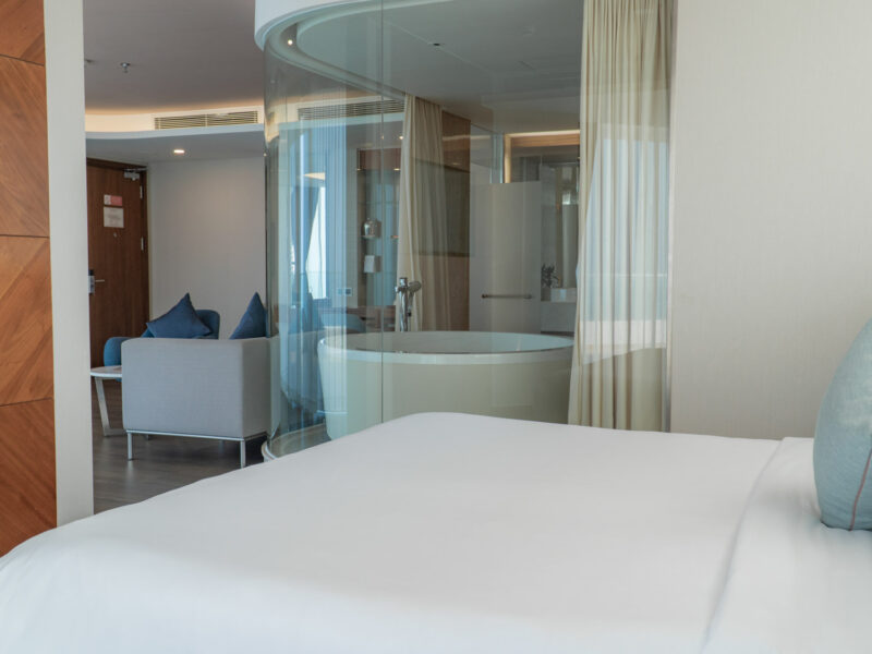 seashells_gallery_04742