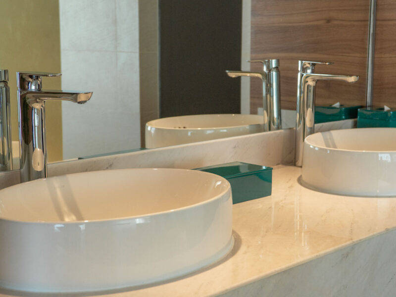 seashells_gallery_04752