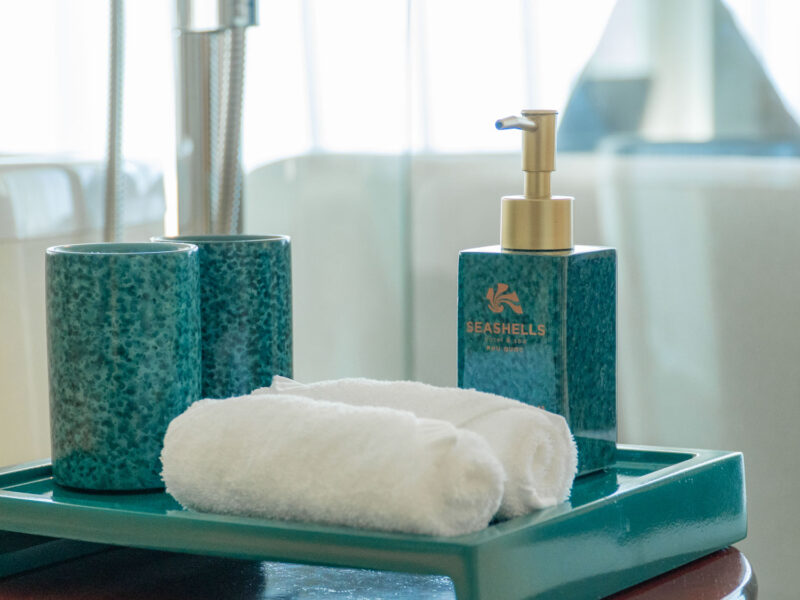 seashells_gallery_04754