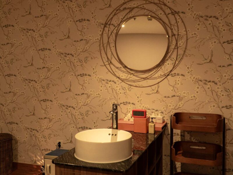 seashells_gallery_04925