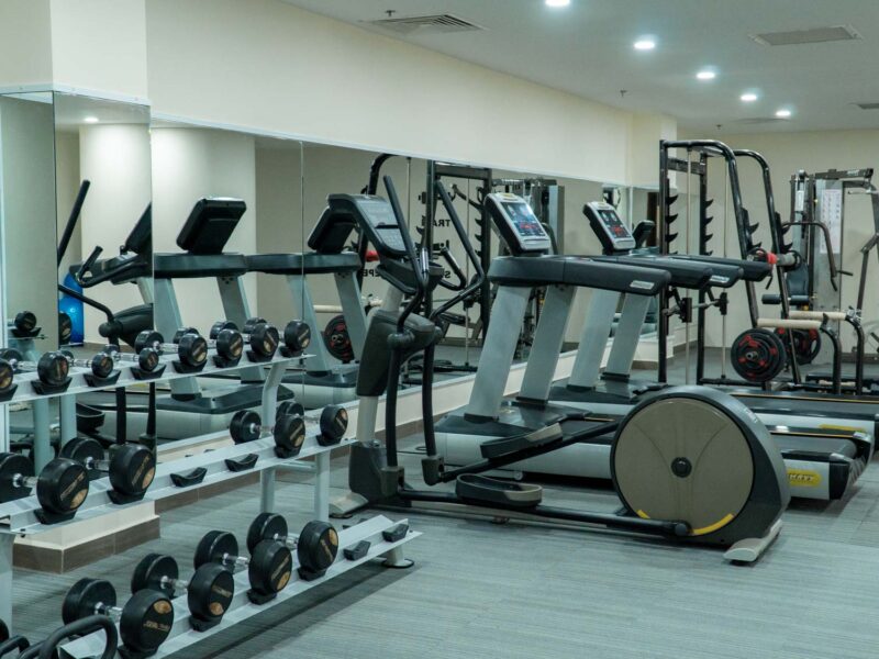 seashells_gallery_04933