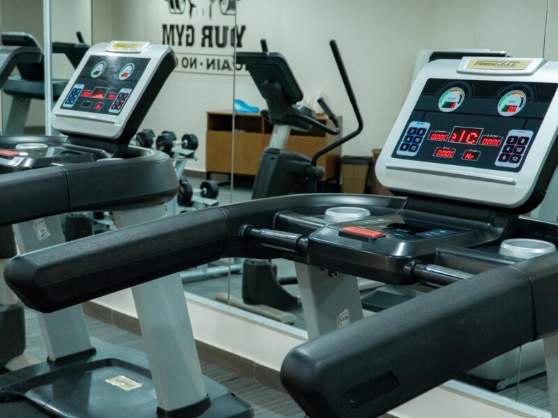 seashells_gallery_04934