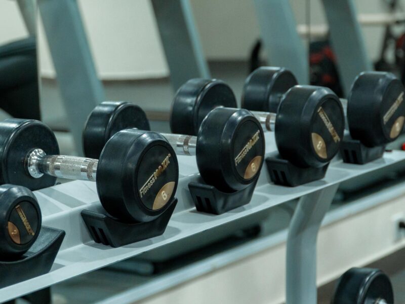 seashells_gallery_04937